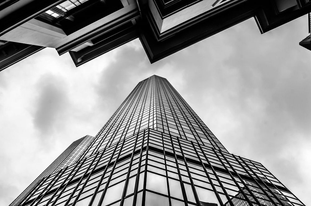 Небостърчок