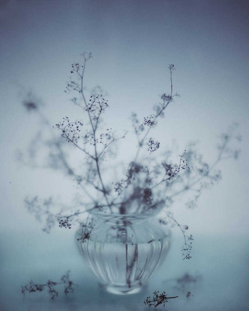 Серия "В туманном плену"