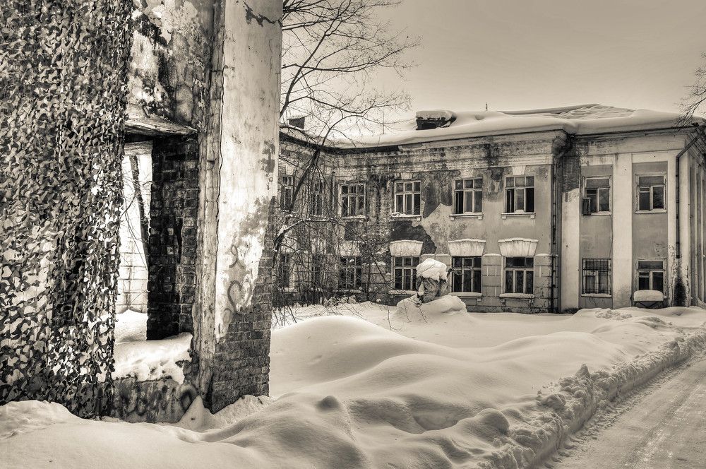Lost beauty in snow