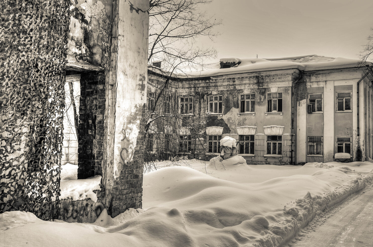 Lost beauty in snow