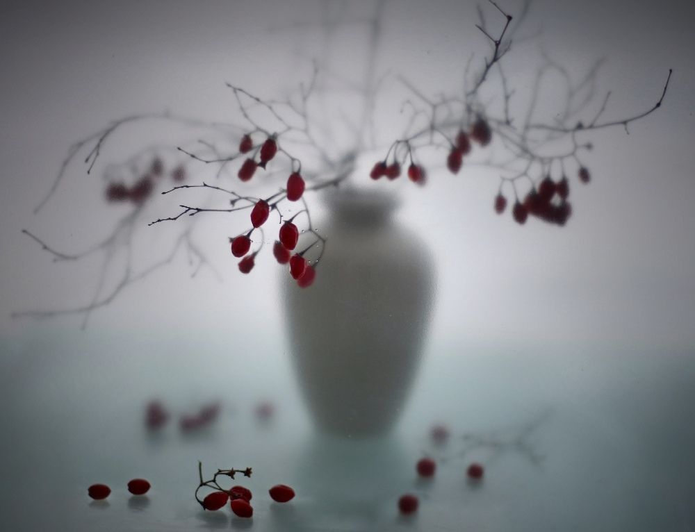 Серия "В туманном плену"