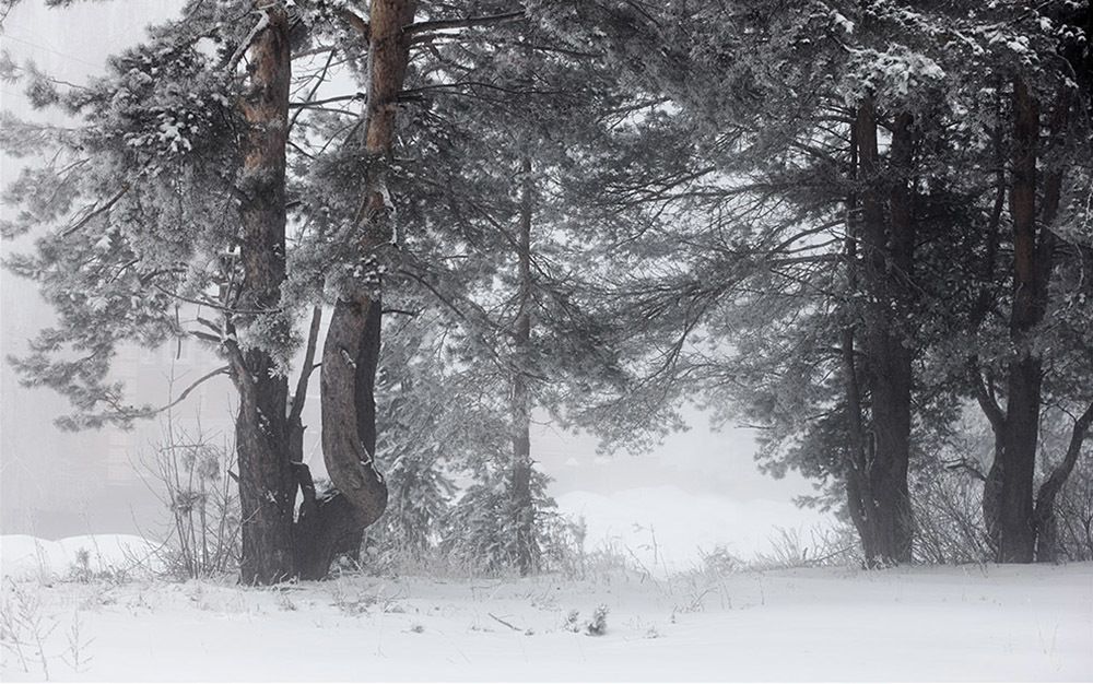 Зимнее утро