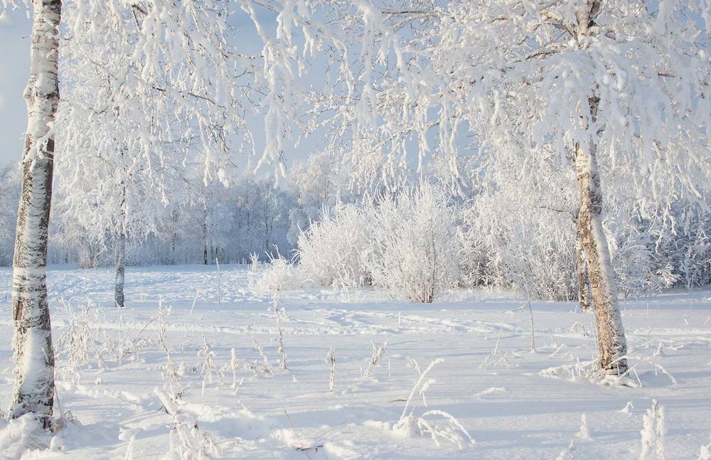 Ах,белая зима...