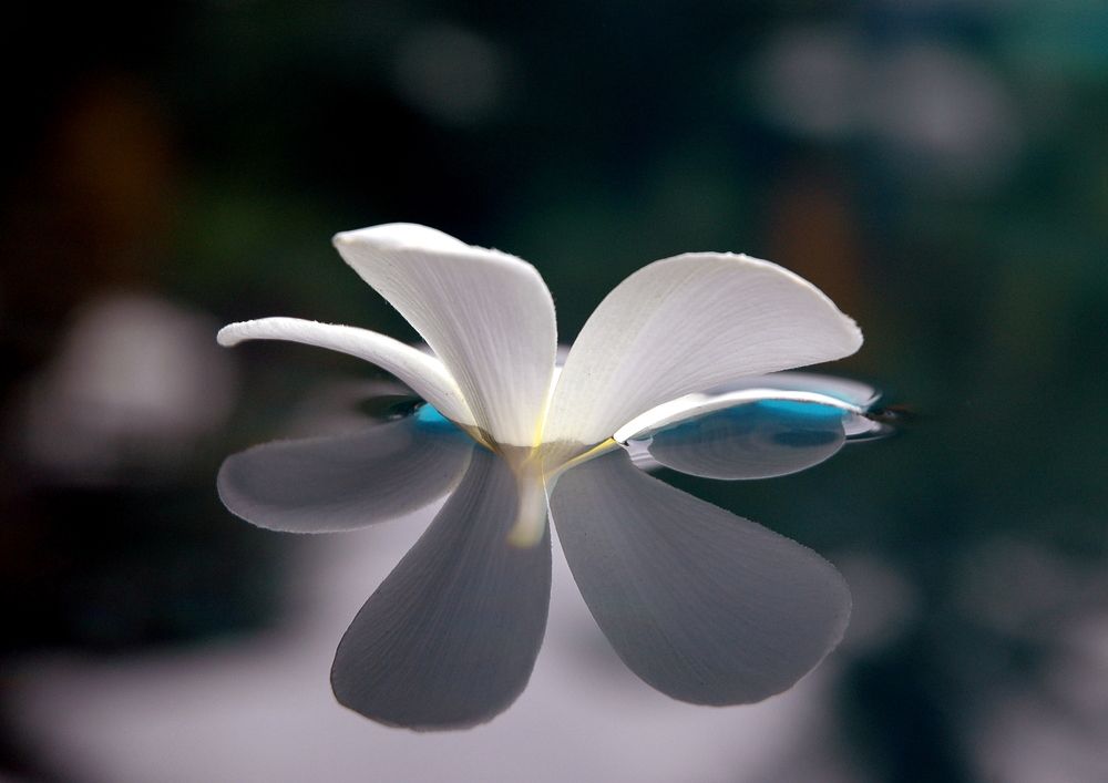 Miroir ... mon beau miroir