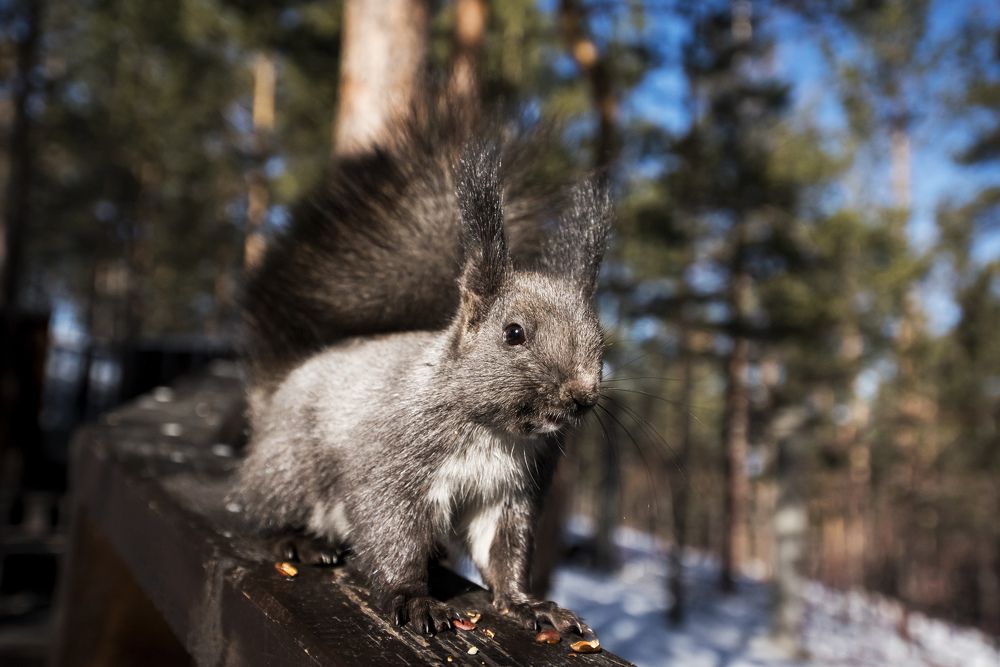 Застали за обедом.