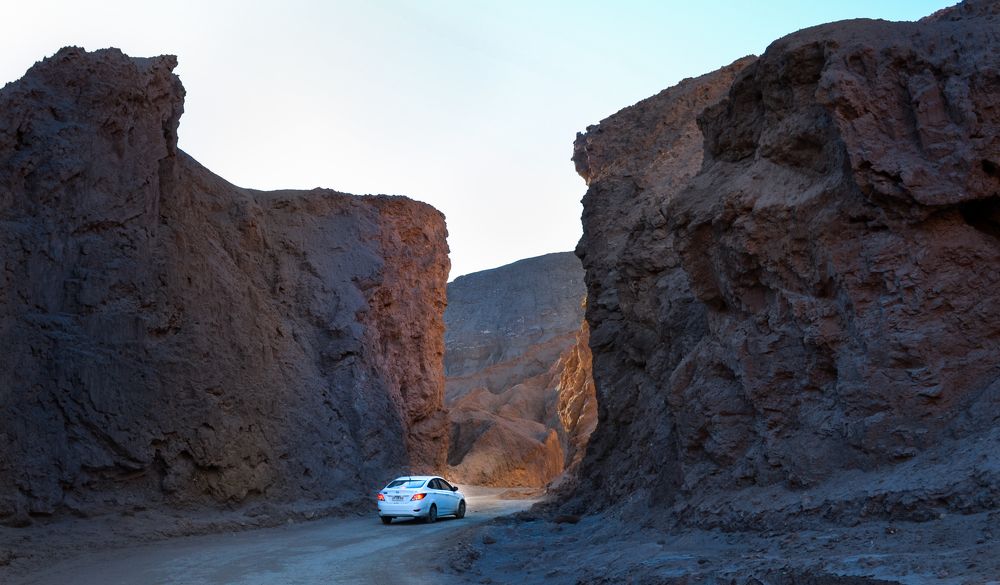 Подснежник в горах