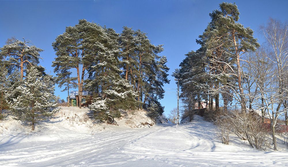 Зимний пригорок