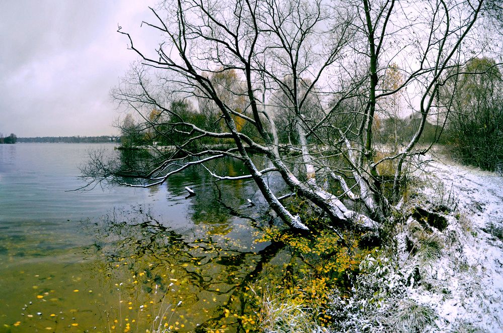 Первый снег