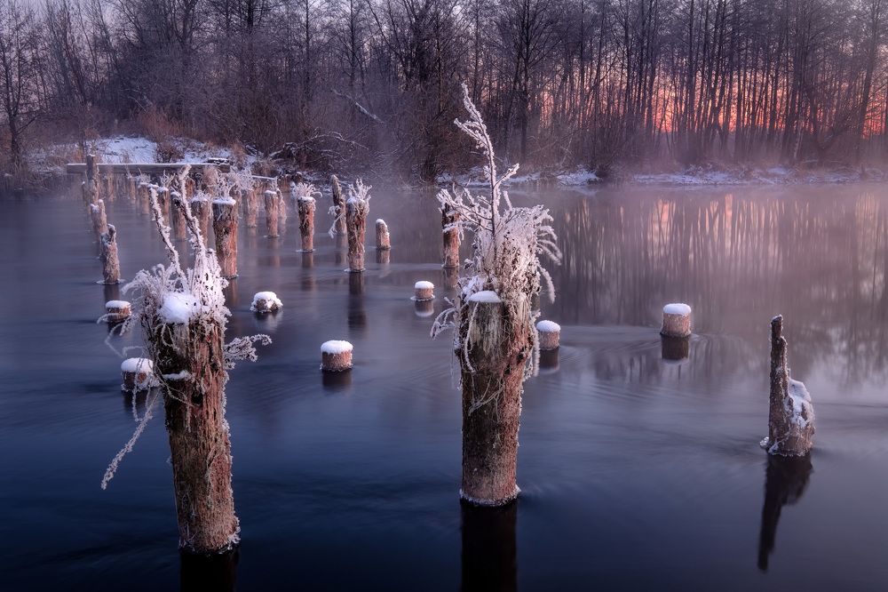 Стойкие деревянные
