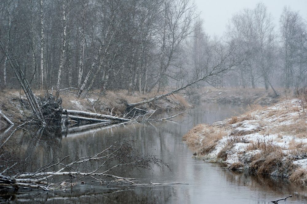 Про бег времён на берегу Мещёрской реки ...