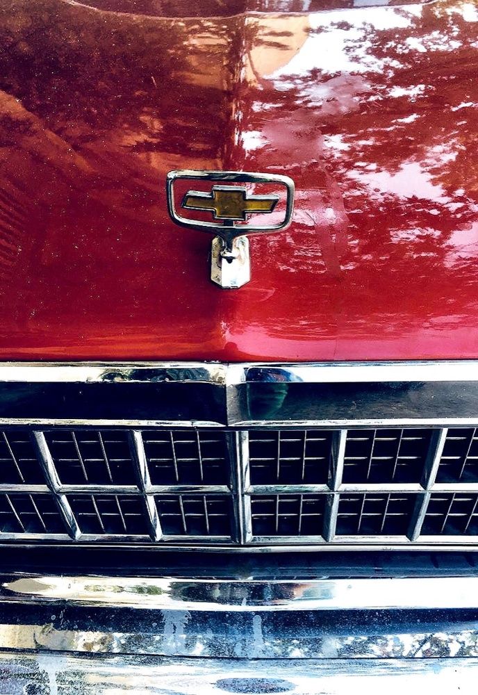 Photograph by Mahdieh Katouzian -