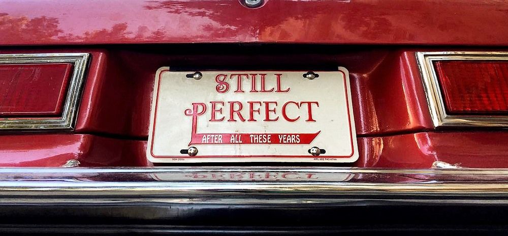 Photograph by Mahdieh Katouzian -