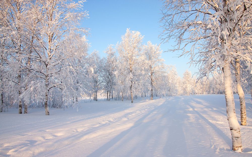 Хороший зимний день