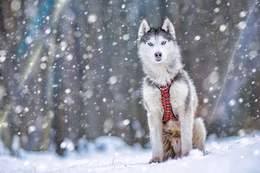 Фотография автора Мария Яропольская