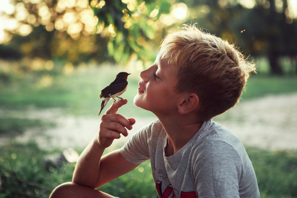 Пернатый друг