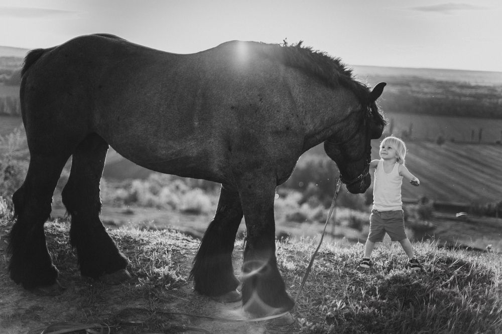 Photograph by Александра Гашицкая
