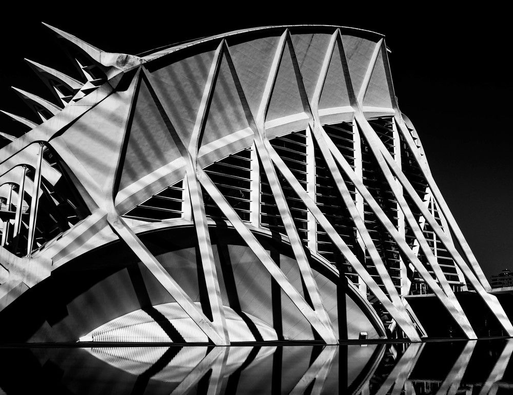 Photograph by Marija