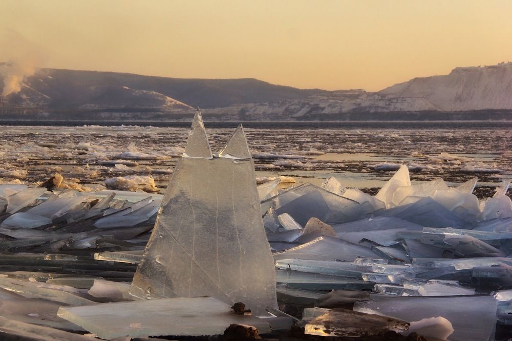 Ледяной кот