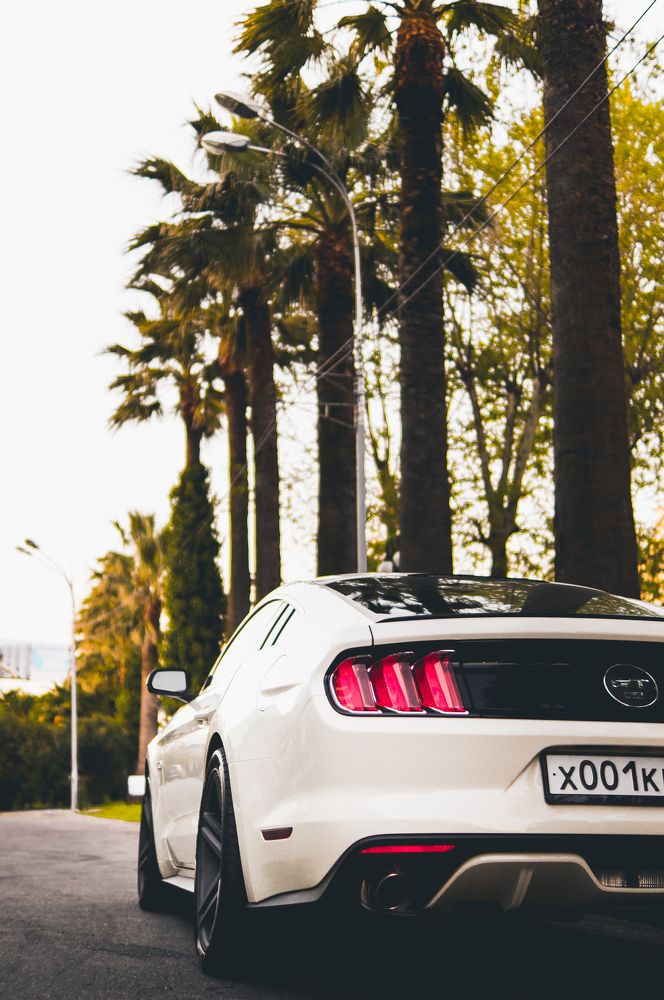 Photograph by Александр Белостоцкий