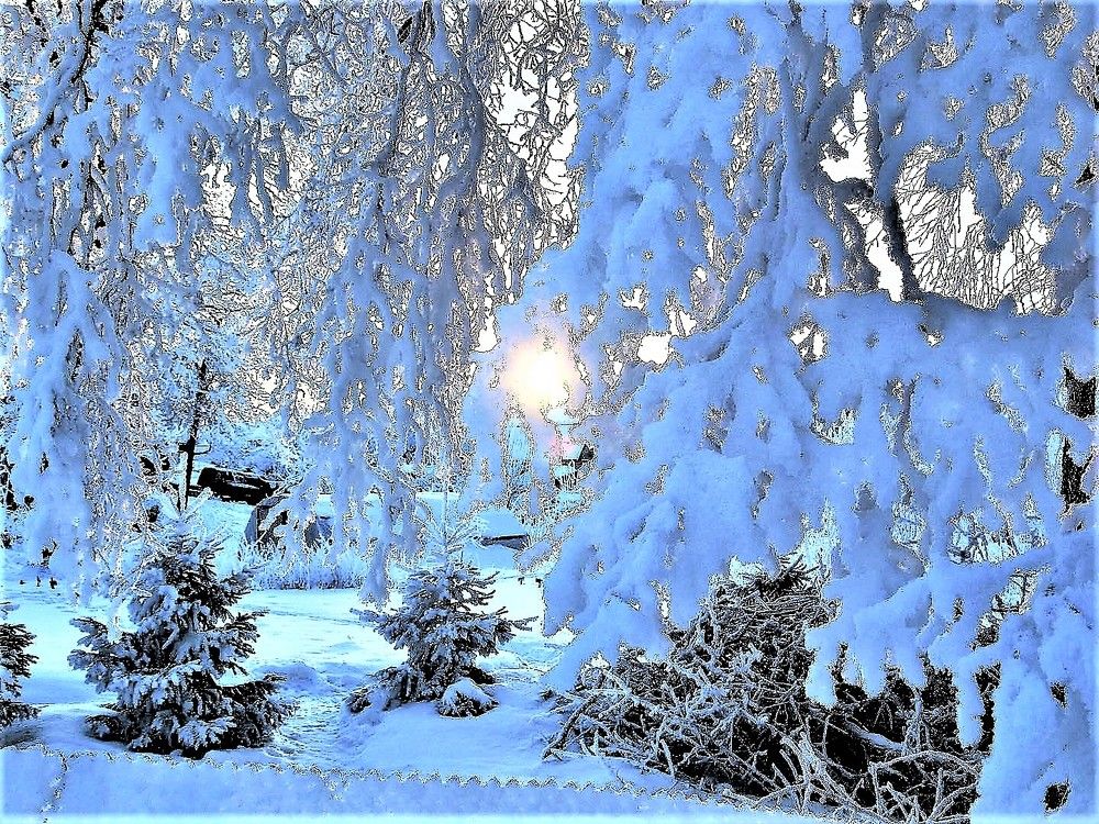 Photograph by Vydmantas