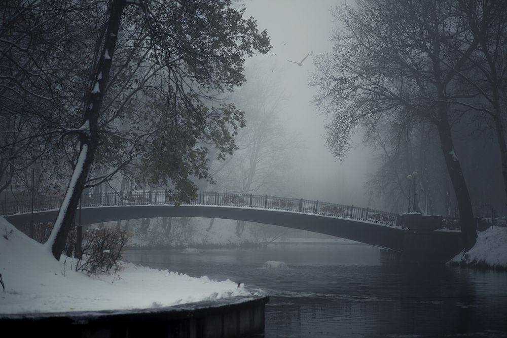 Photograph by Александр Шемятенков