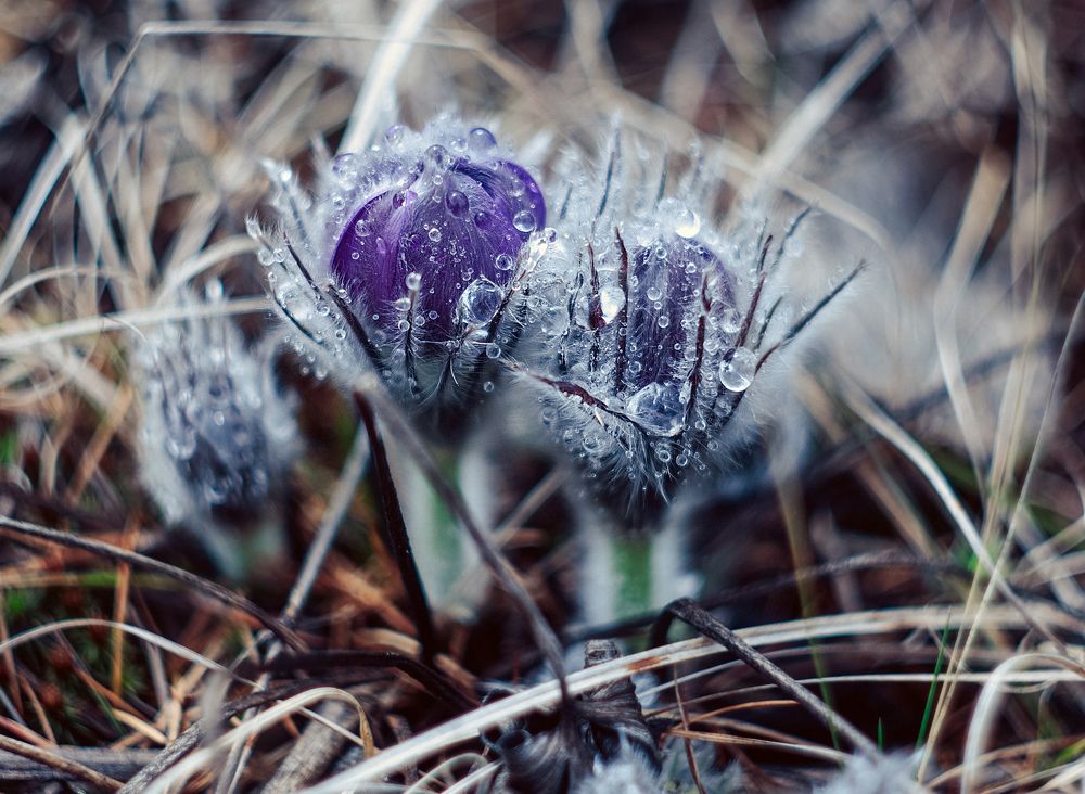 Стеклянные капли