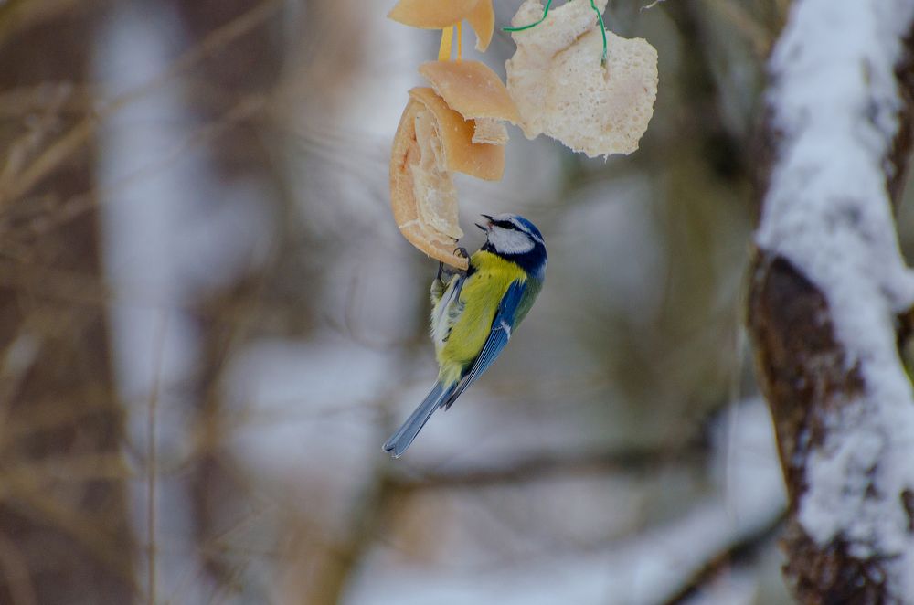 Photograph by Карина Полякова