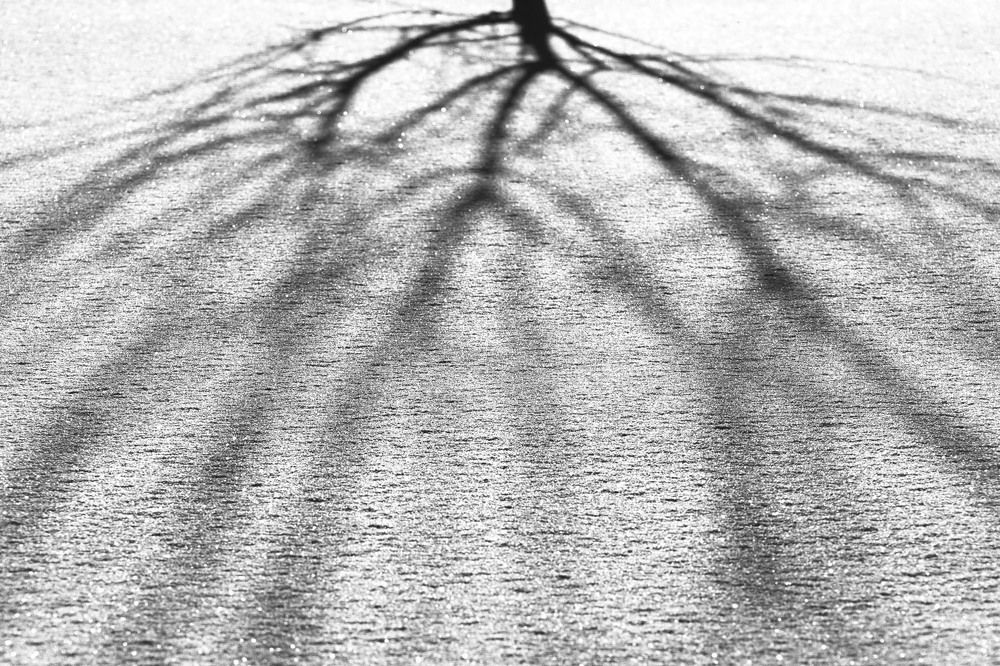 Зимняя графика