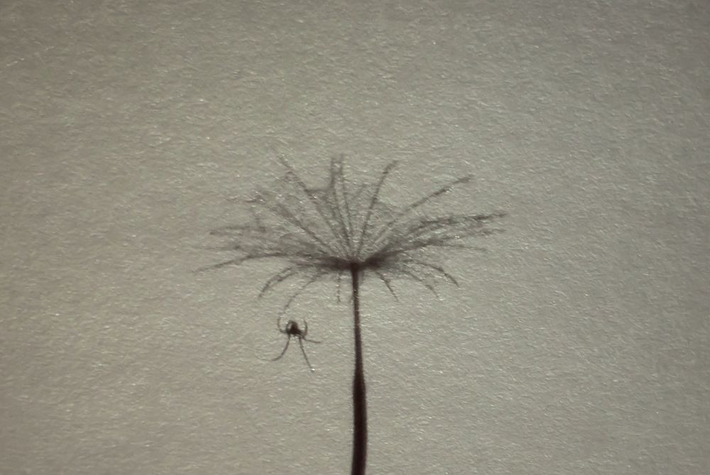 Завис в раздумьях