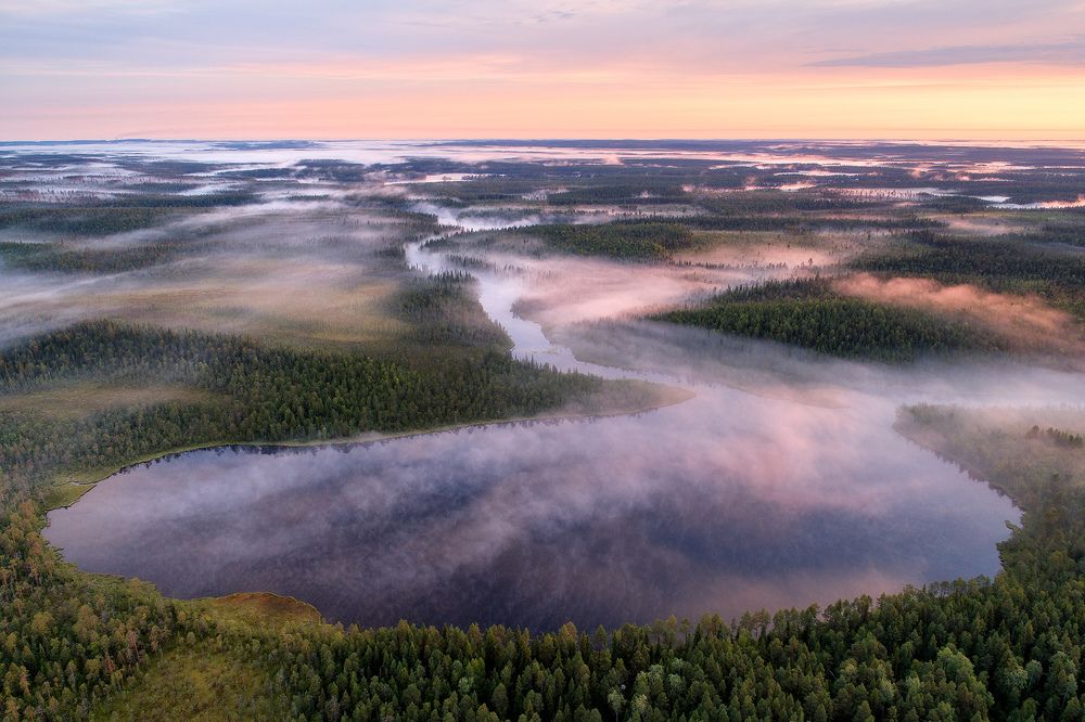 Утренние туманы