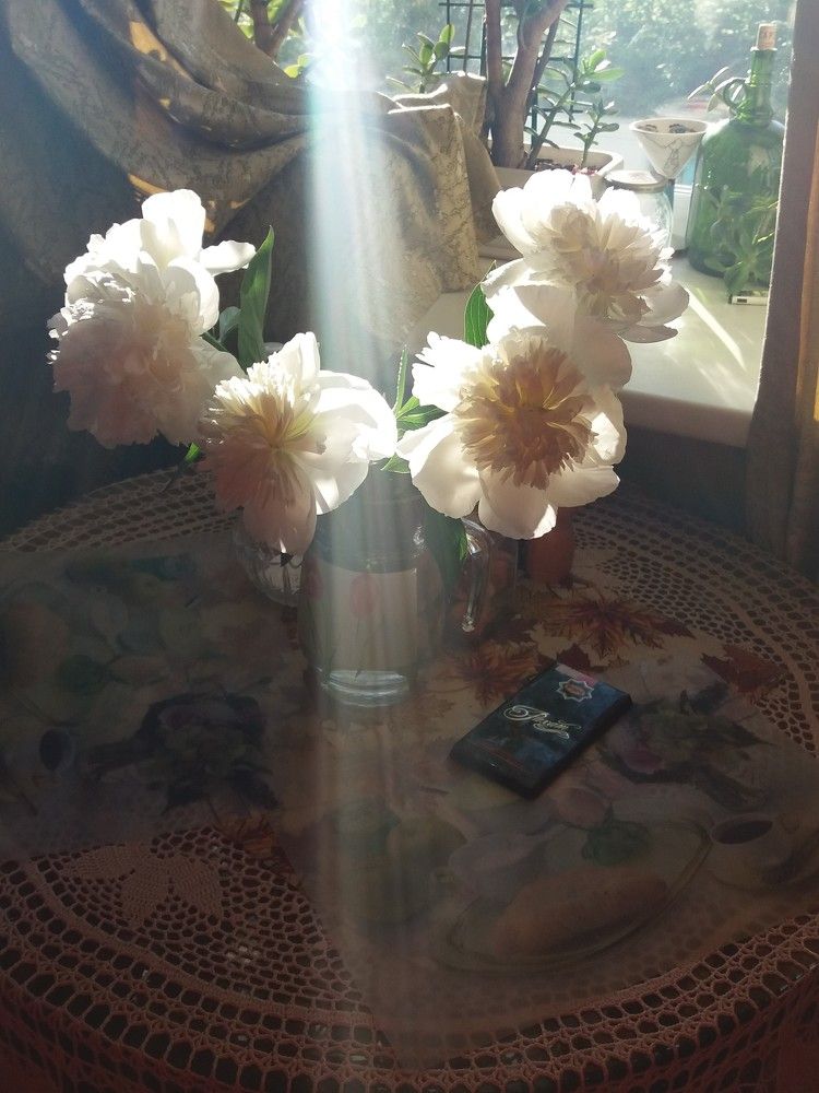 Photograph by Крестников Валерий