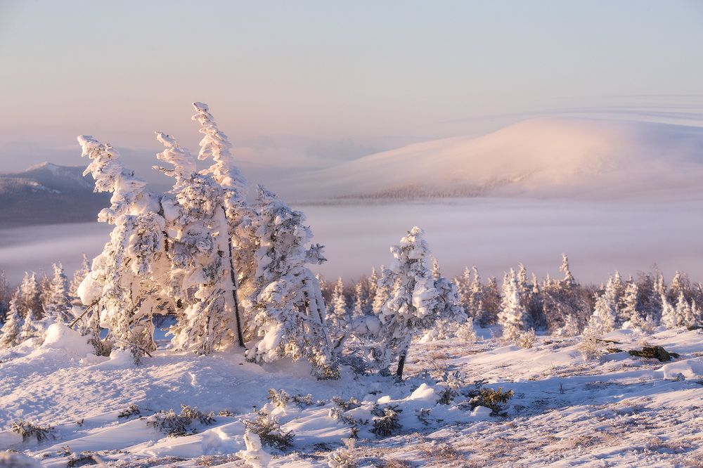 Работа мороза и ветра