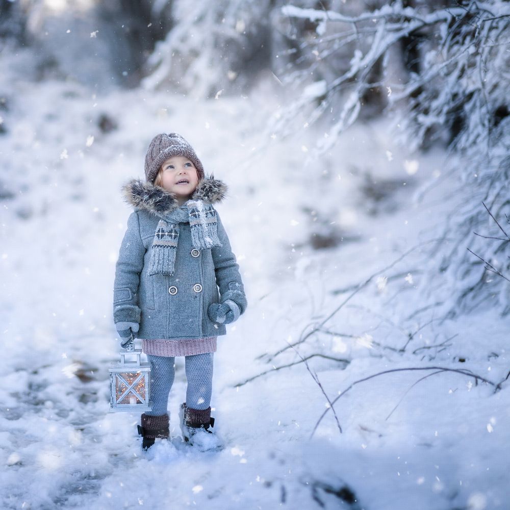 Первый снег на юге