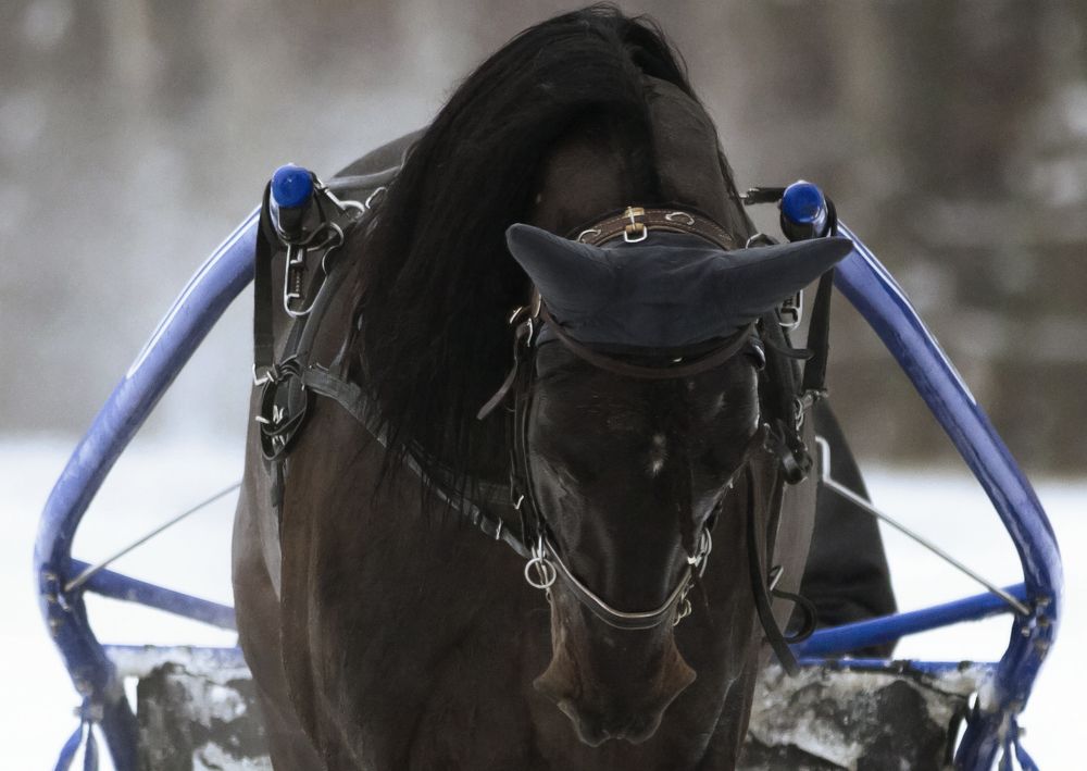 К бою готов