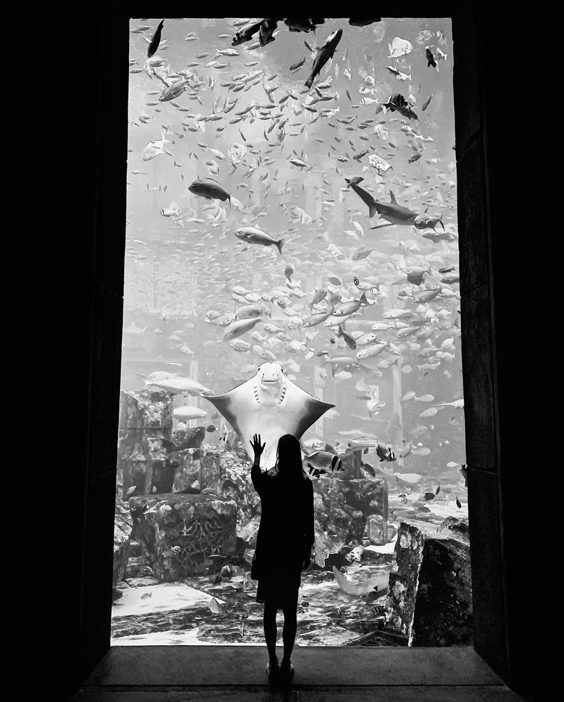 Знакомство