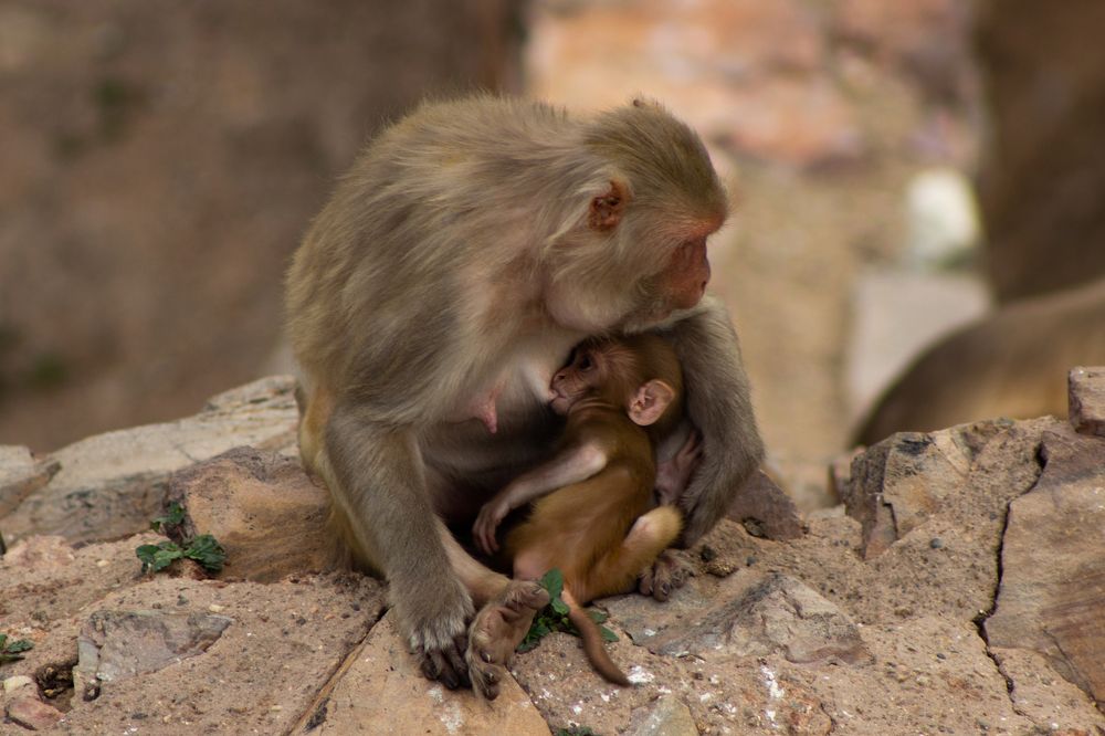 Любовь безусловная