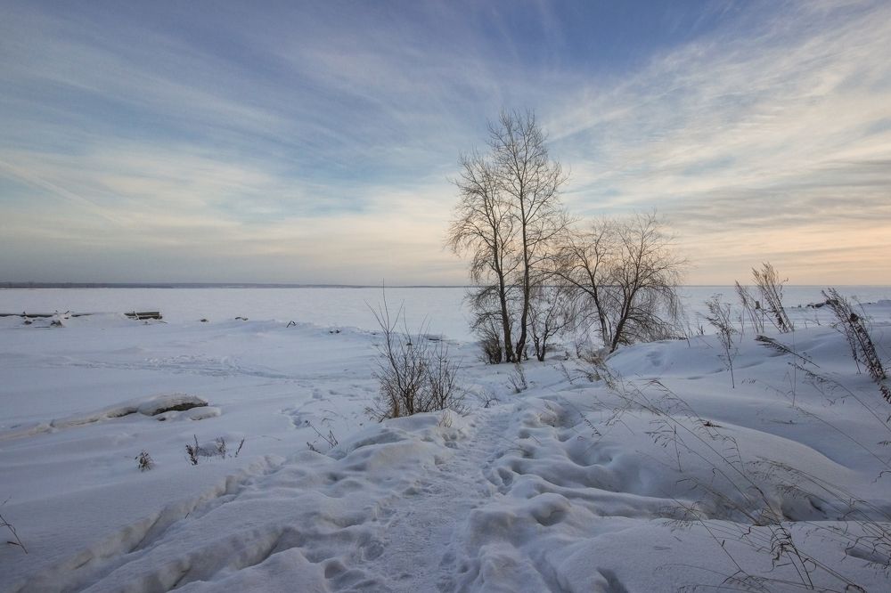 Зимний день...