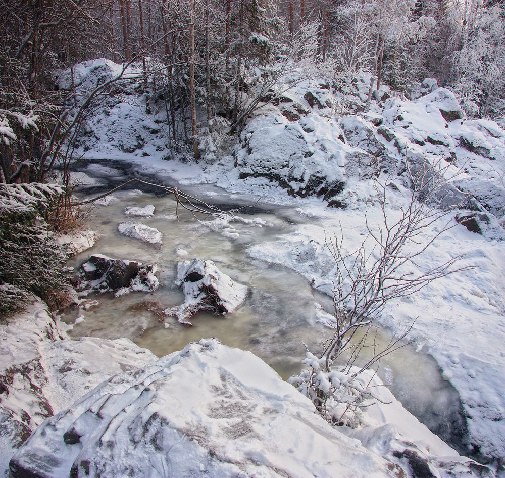В звенящей тишине