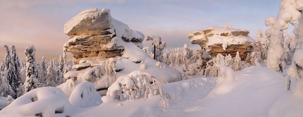 Спящий птах и Большая черепаха