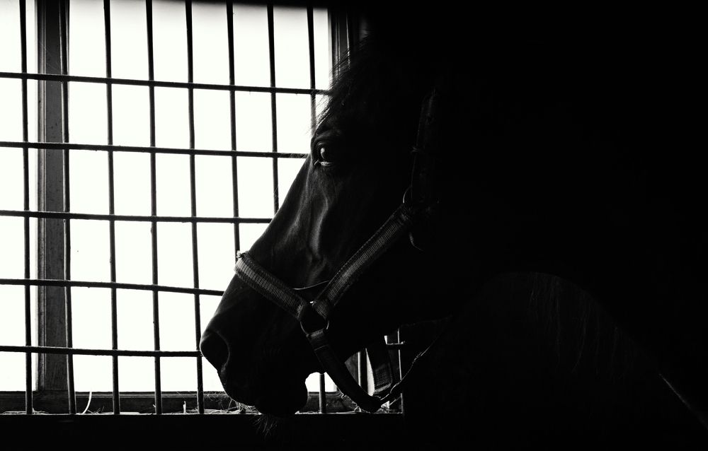 Безвольный