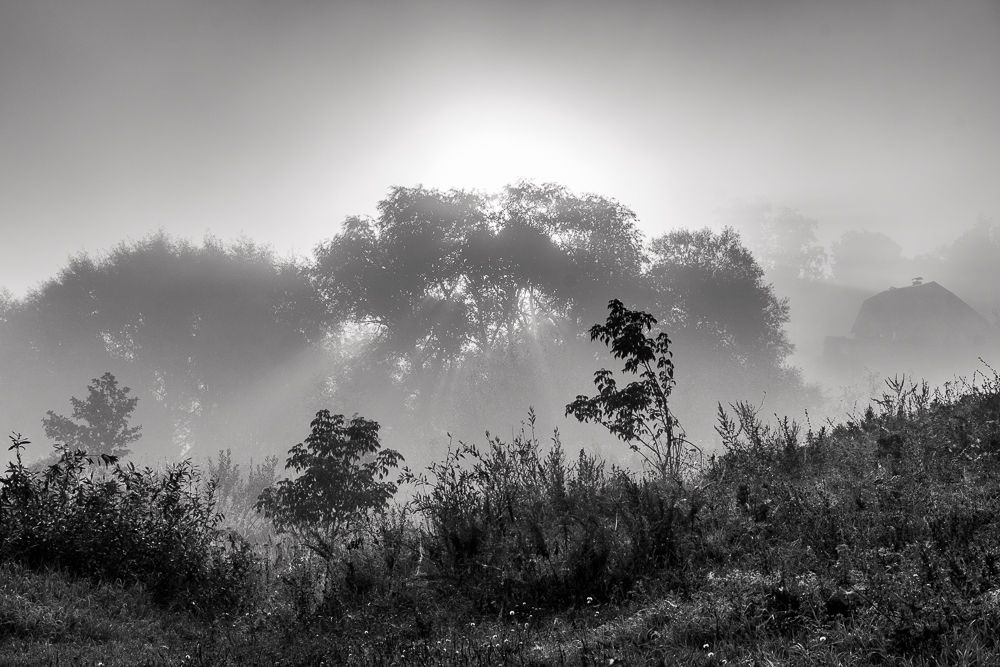 Утро в Каире