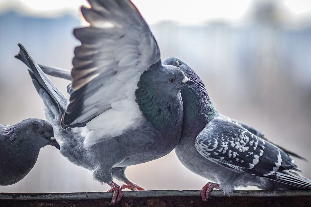 Фотография автора Мария Яропольская