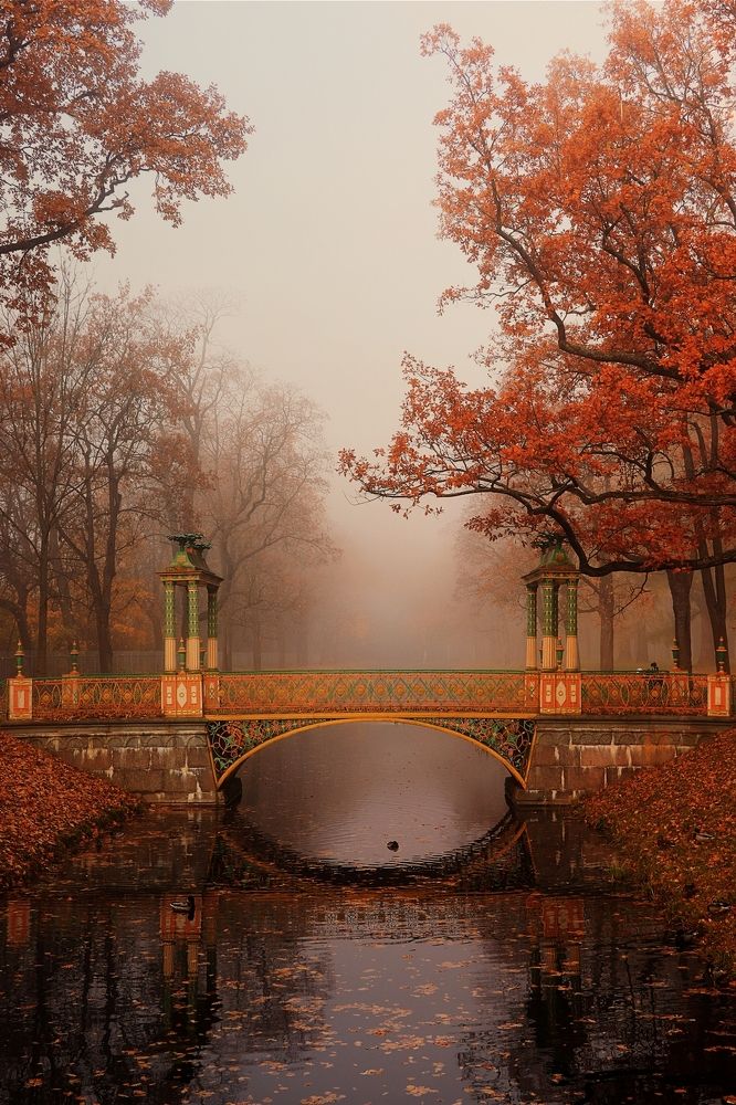 Александровский парк,Китайский мостик,Царское село(туман настоящий)