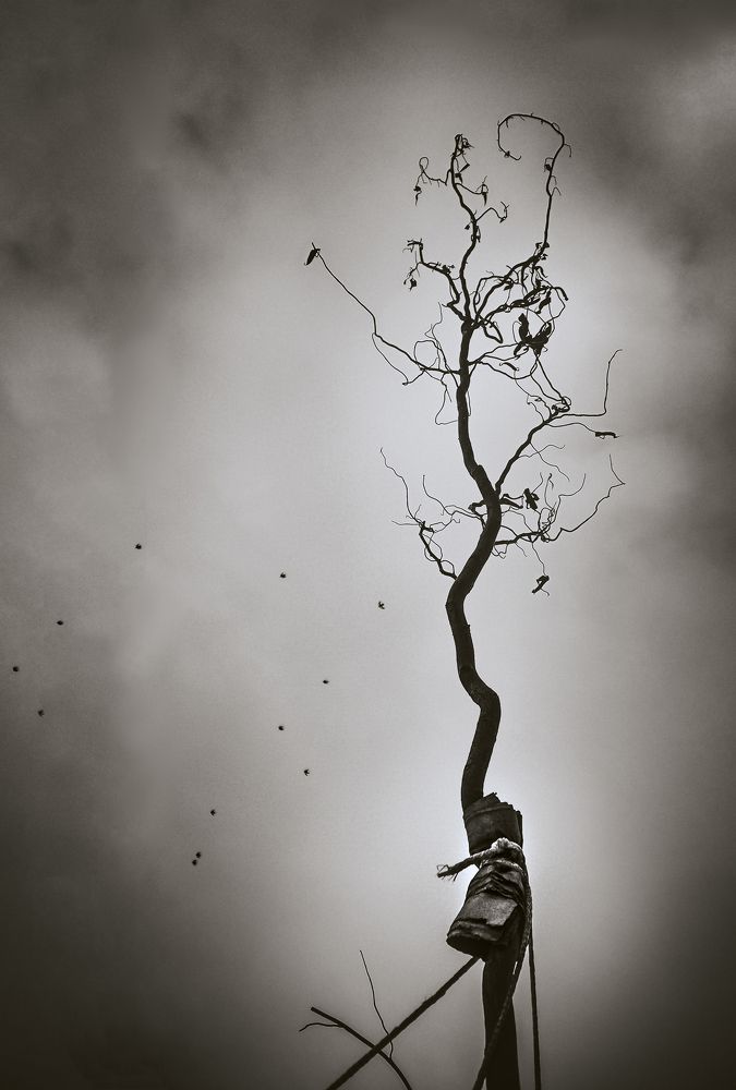 Alone in the nowhere