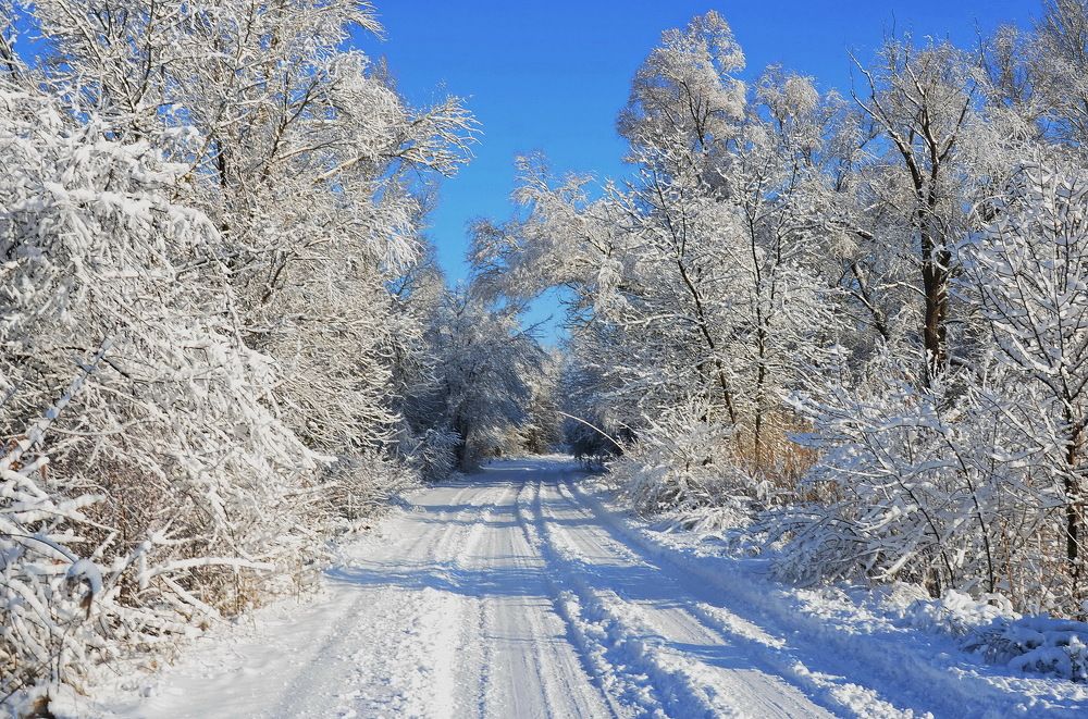 В звенящую зимнюю даль