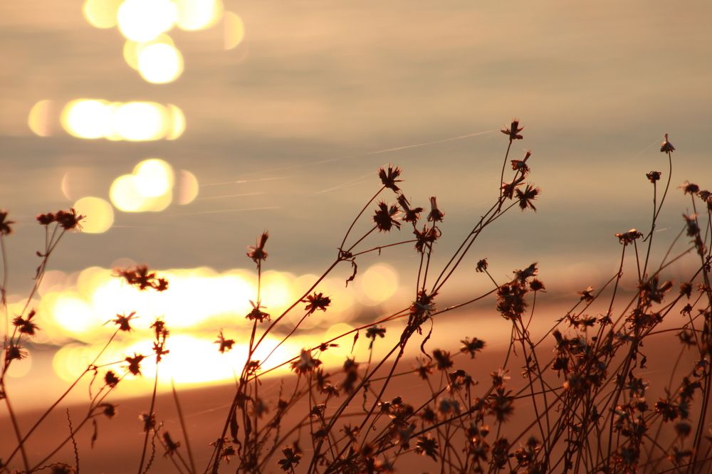 Photograph by Ирина Сажина