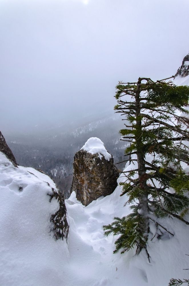 туманное утро