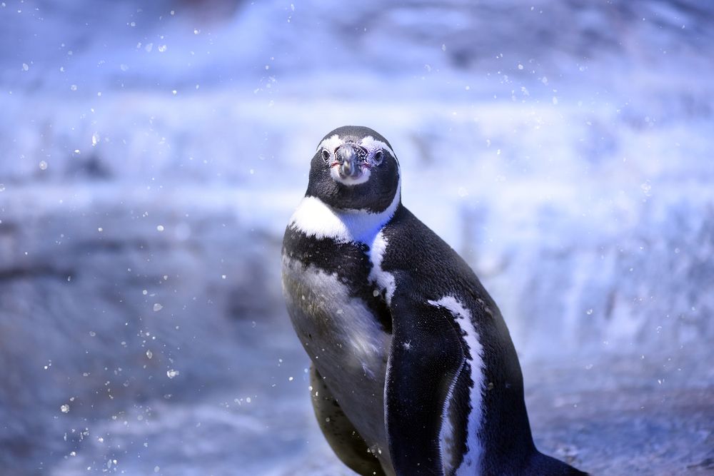 Photograph by Виктория Мейо