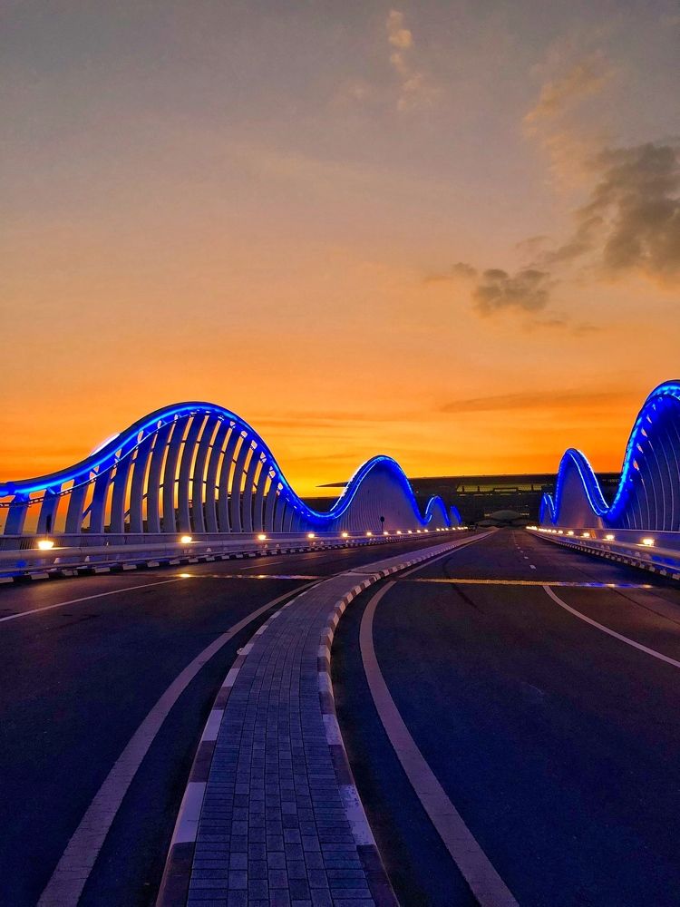 The Caterpillar Bridge!!!