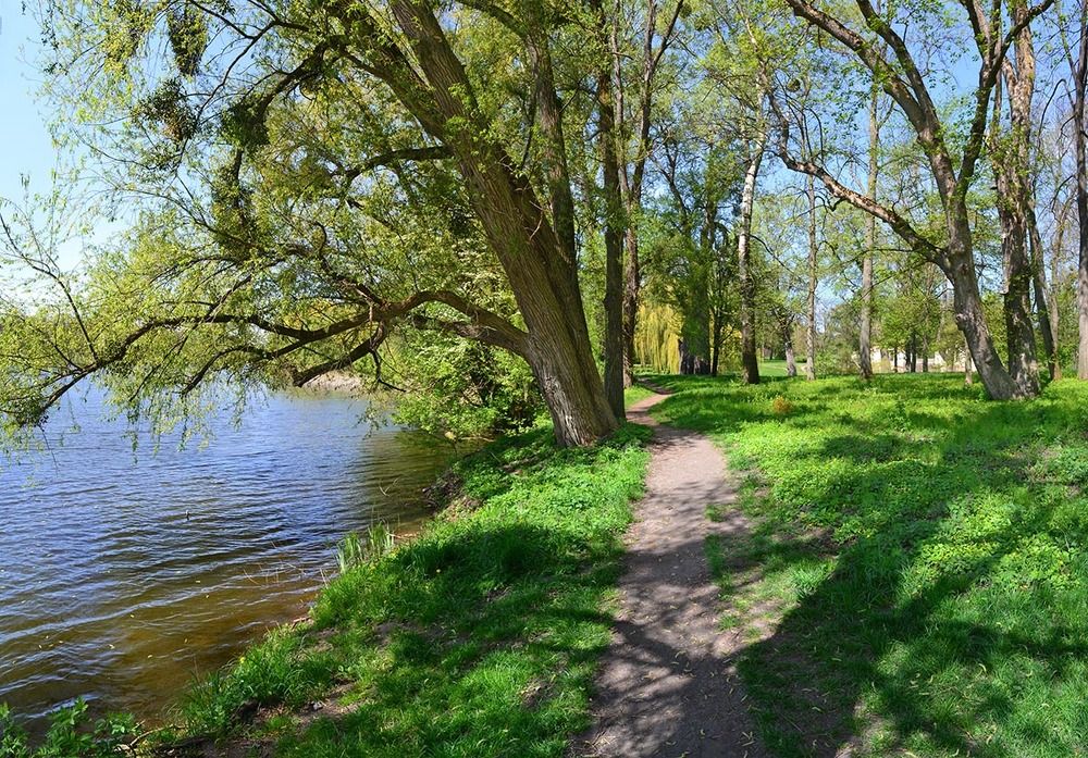 В весеннем парке